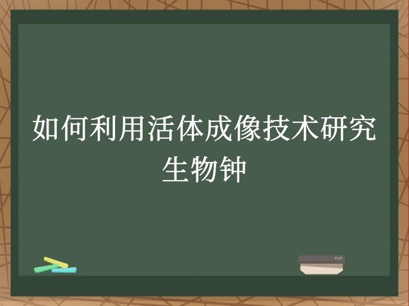 如何利用活體成像技術(shù)研究生物鐘